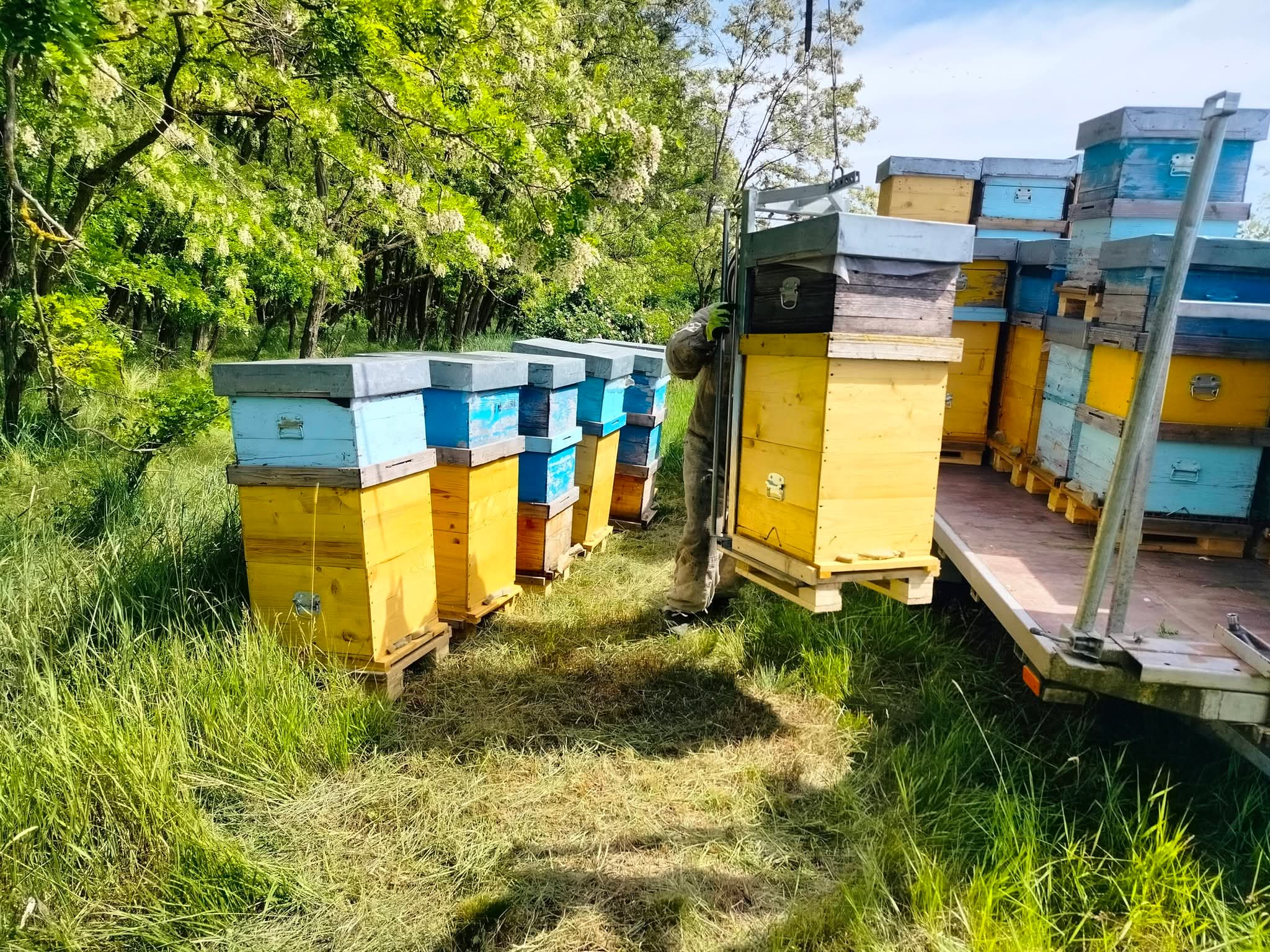 Încărcare